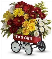 New Baby Gifts - Baby's Wow Wagon by Teleflora - Girl - T97N400 Photo of Baby's Wow Wagon by Teleflora - Girl - T97N400