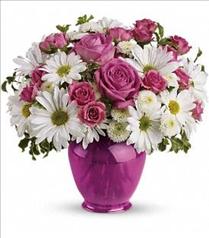 Order Birthday Flowers Online - Teleflora's Pink Daisy Delight - TEV07-1 Photo of Teleflora's Pink Daisy Delight - TEV07-1