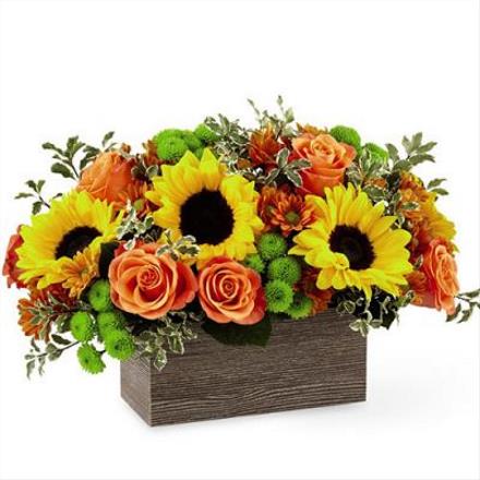 Photo of flowers: Happy Harvest Garden