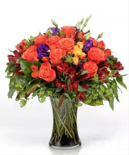 Photo of flowers: Autumn Gemstones