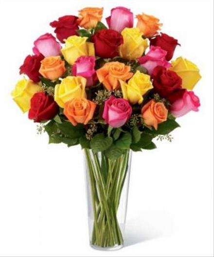 Coloured Long Stem Roses - Home-Page-Top-Features Catalog - Order ...